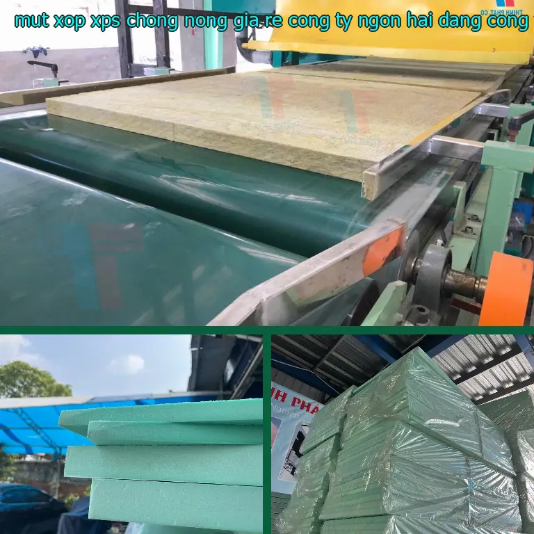 Nhà sản xuất mút xốp XPS chống nóng giá rẻ Công ty Ngọn Hải Đăng: Công ty tấm xốp MatHome Nhà sản xuất mút xốp XPS chống nóng giá rẻ Công ty Ngọn Hải Đăng: Công ty tấm xốp MatHome