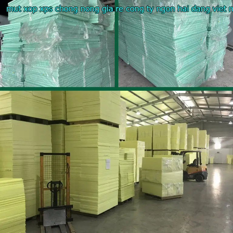 Xuất xứ mút xốp XPS chống nóng giá rẻ Công ty Ngọn Hải Đăng: Viet Nam Xuất xứ mút xốp XPS chống nóng giá rẻ Công ty Ngọn Hải Đăng: Viet Nam