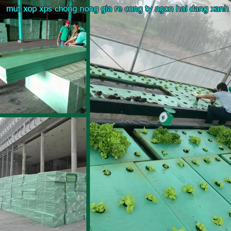 Màu sắc mút xốp XPS chống nóng giá rẻ Công ty Ngọn Hải Đăng: Xanh lá Màu sắc mút xốp XPS chống nóng giá rẻ Công ty Ngọn Hải Đăng: Xanh lá