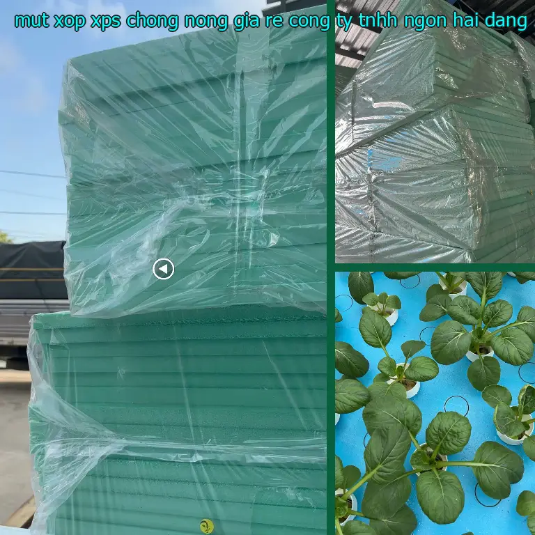 Ngày sản xuất mút xốp XPS chống nóng giá rẻ Công ty TNHH Ngọn Hải Đăng: 2025-02-01 Ngày sản xuất mút xốp XPS chống nóng giá rẻ Công ty TNHH Ngọn Hải Đăng: 2025-02-01