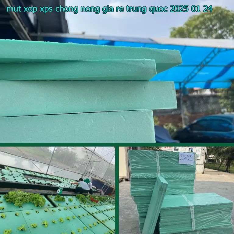 Ngày sản xuất mút xốp XPS chống nóng giá rẻ Trung Quốc: 2025-01-24 Ngày sản xuất mút xốp XPS chống nóng giá rẻ Trung Quốc: 2025-01-24