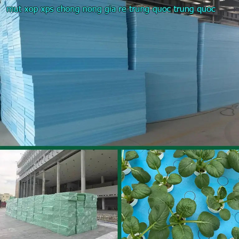 Xuất xứ mút xốp XPS chống nóng giá rẻ Trung Quốc: Trung Quốc Xuất xứ mút xốp XPS chống nóng giá rẻ Trung Quốc: Trung Quốc