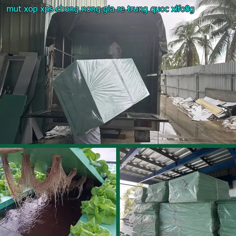 Model mút xốp XPS chống nóng giá rẻ Trung Quốc: XLFO8G Model mút xốp XPS chống nóng giá rẻ Trung Quốc: XLFO8G