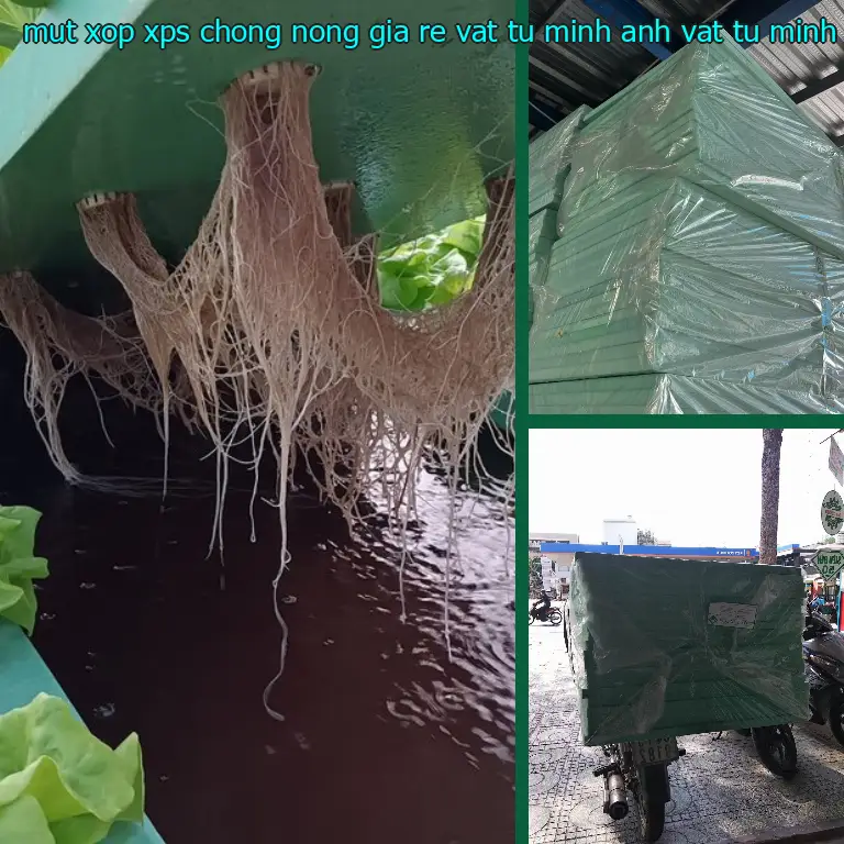 Nhà sản xuất mút xốp XPS chống nóng giá rẻ Vật tư Minh Anh: Vật tư Minh Anh Nhà sản xuất mút xốp XPS chống nóng giá rẻ Vật tư Minh Anh: Vật tư Minh Anh