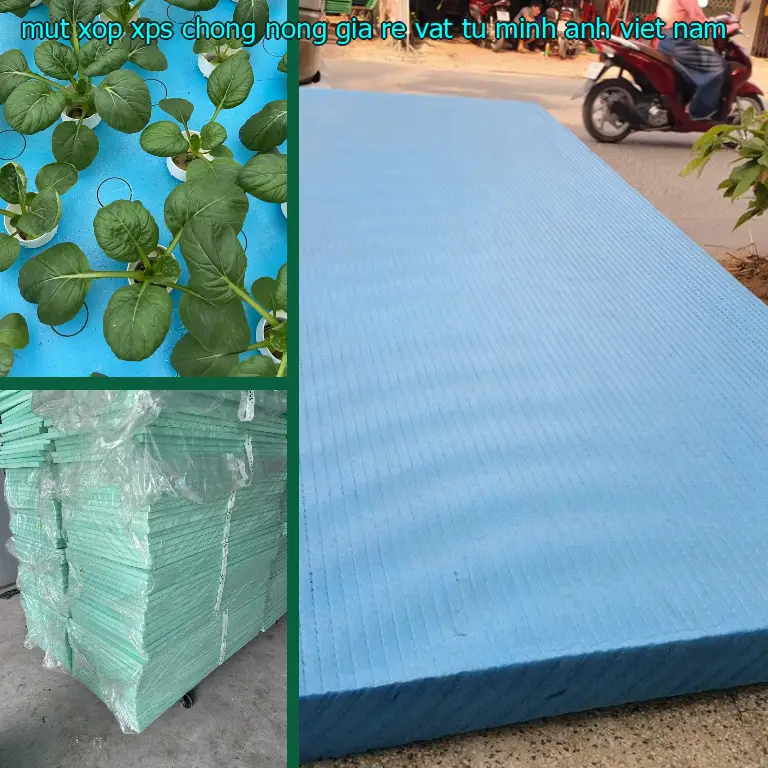 Xuất xứ mút xốp XPS chống nóng giá rẻ Vật tư Minh Anh: Việt Nam Xuất xứ mút xốp XPS chống nóng giá rẻ Vật tư Minh Anh: Việt Nam