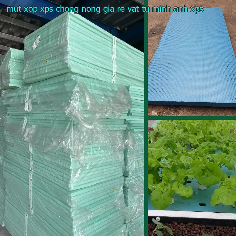 Chất liệu mút xốp XPS chống nóng giá rẻ Vật tư Minh Anh: XPS Chất liệu mút xốp XPS chống nóng giá rẻ Vật tư Minh Anh: XPS