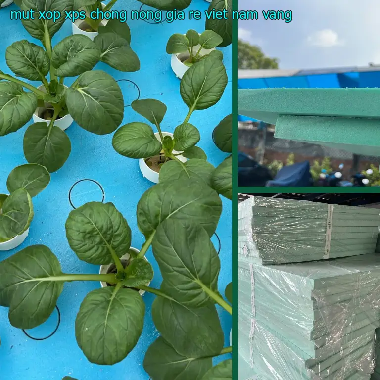 Màu sắc mút xốp XPS chống nóng giá rẻ Viet Nam: Vàng Màu sắc mút xốp XPS chống nóng giá rẻ Viet Nam: Vàng