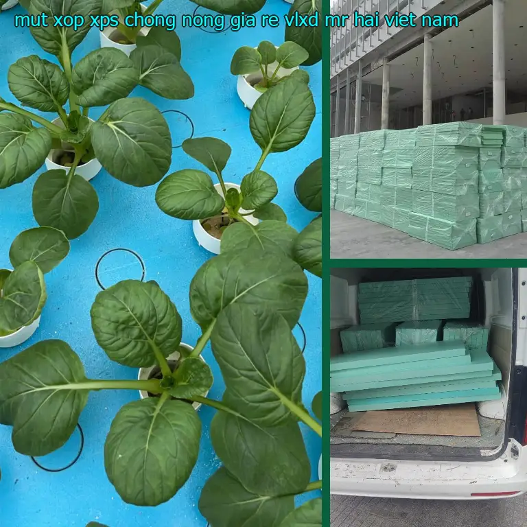 Xuất xứ mút xốp XPS chống nóng giá rẻ VLXD Mr.HẢI: Việt Nam Xuất xứ mút xốp XPS chống nóng giá rẻ VLXD Mr.HẢI: Việt Nam