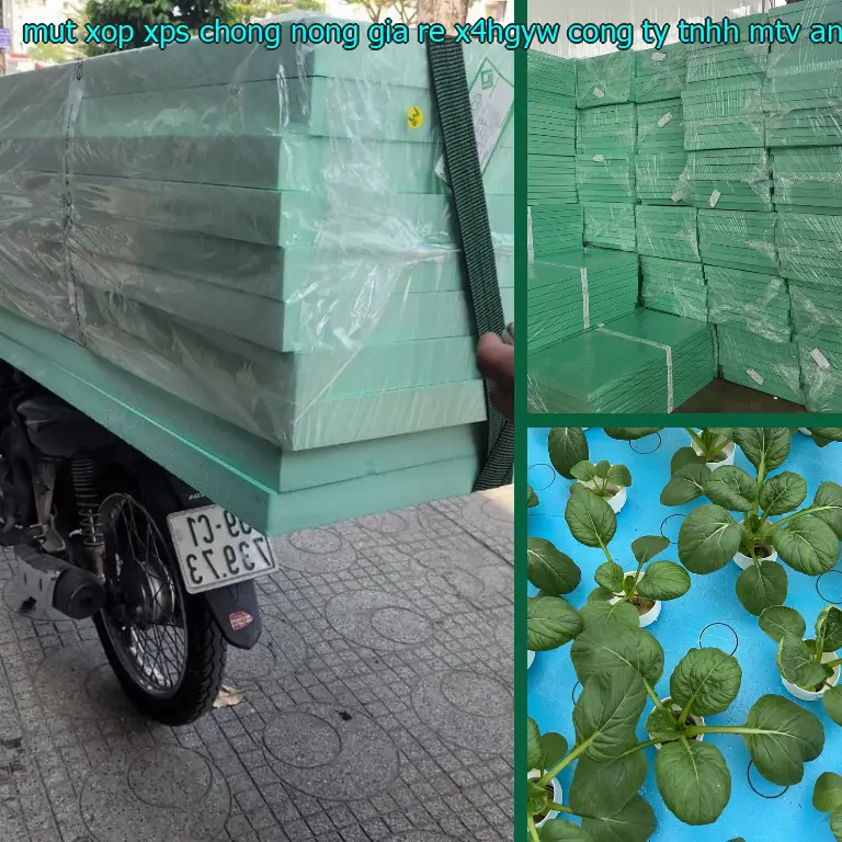 Nhà sản xuất mút xốp XPS chống nóng giá rẻ X4HGYW: Công ty TNHH MTV An Tiến Hưng Nhà sản xuất mút xốp XPS chống nóng giá rẻ X4HGYW: Công ty TNHH MTV An Tiến Hưng