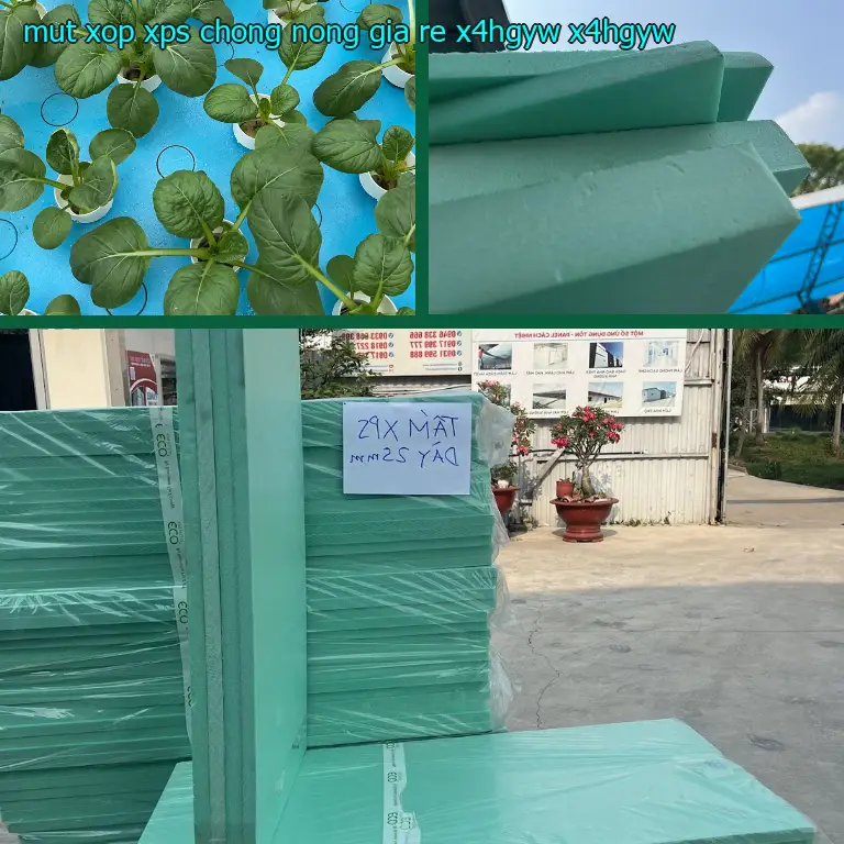Model mút xốp XPS chống nóng giá rẻ X4HGYW: X4HGYW Model mút xốp XPS chống nóng giá rẻ X4HGYW: X4HGYW