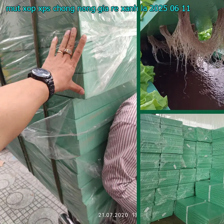 Ngày sản xuất mút xốp XPS chống nóng giá rẻ Xanh lá: 2025-06-11 Ngày sản xuất mút xốp XPS chống nóng giá rẻ Xanh lá: 2025-06-11