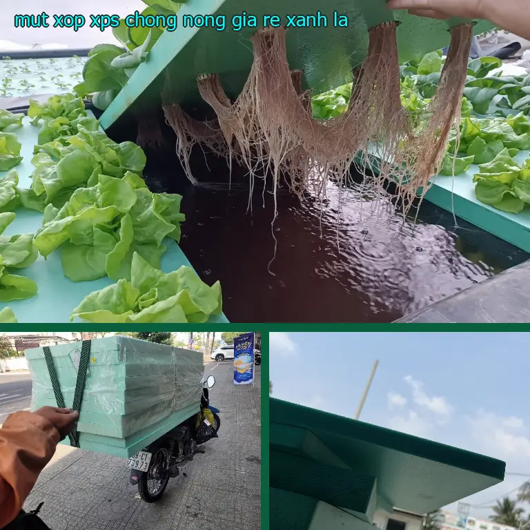 Mút xốp XPS chống nóng giá rẻ Xanh lá