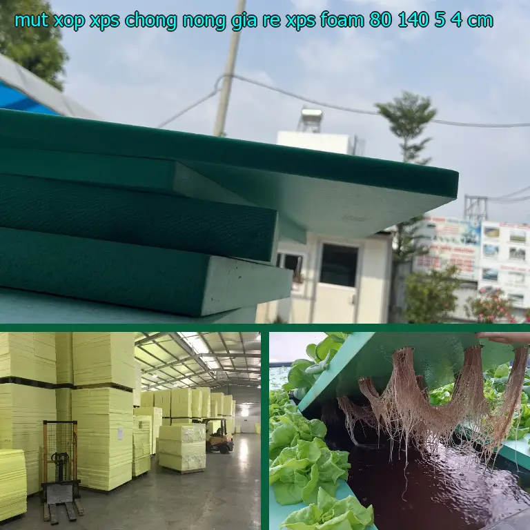 Kích thước mút xốp XPS chống nóng giá rẻ XPS Foam: 80*140*5.4 cm