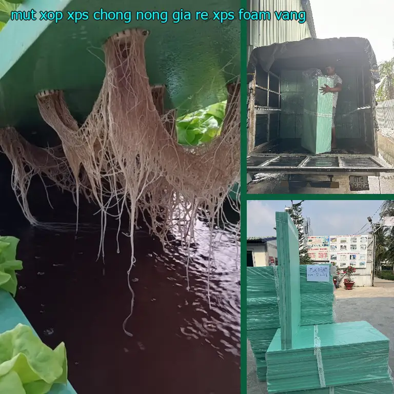 Màu sắc mút xốp XPS chống nóng giá rẻ XPS Foam: Vàng
