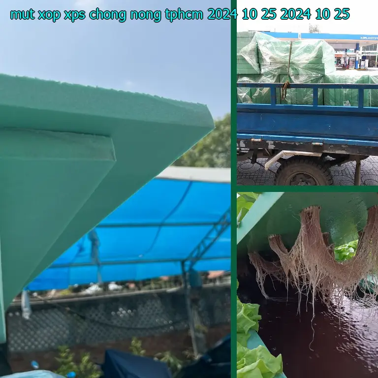Ngày sản xuất mút xốp XPS chống nóng TpHCM 2024-10-25: 2024-10-25 Ngày sản xuất mút xốp XPS chống nóng TpHCM 2024-10-25: 2024-10-25