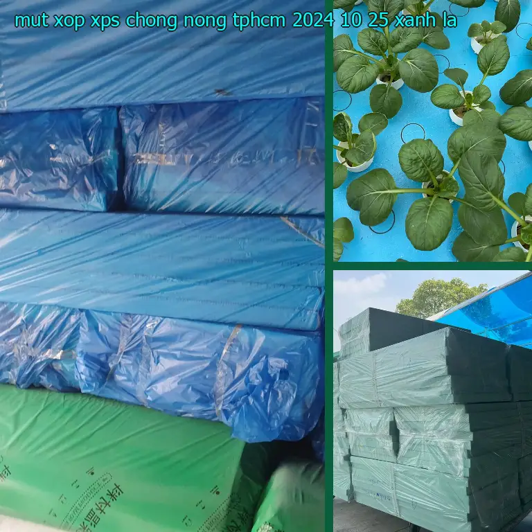 Màu sắc mút xốp XPS chống nóng TpHCM 2024-10-25: Xanh lá Màu sắc mút xốp XPS chống nóng TpHCM 2024-10-25: Xanh lá