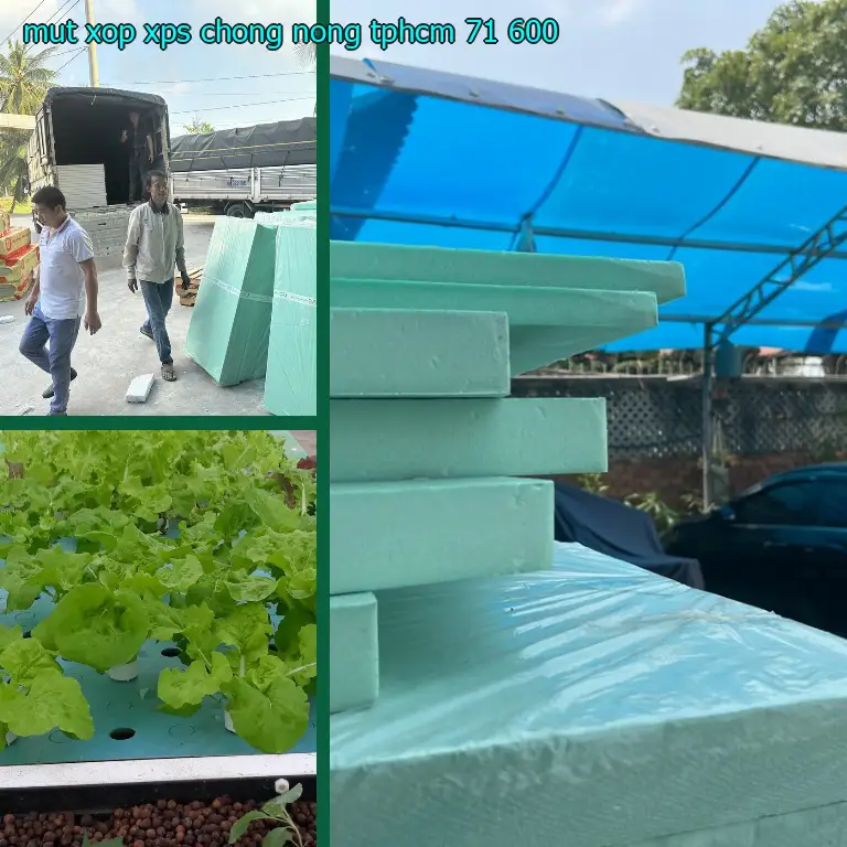 Mút xốp XPS chống nóng TpHCM 71.600₫