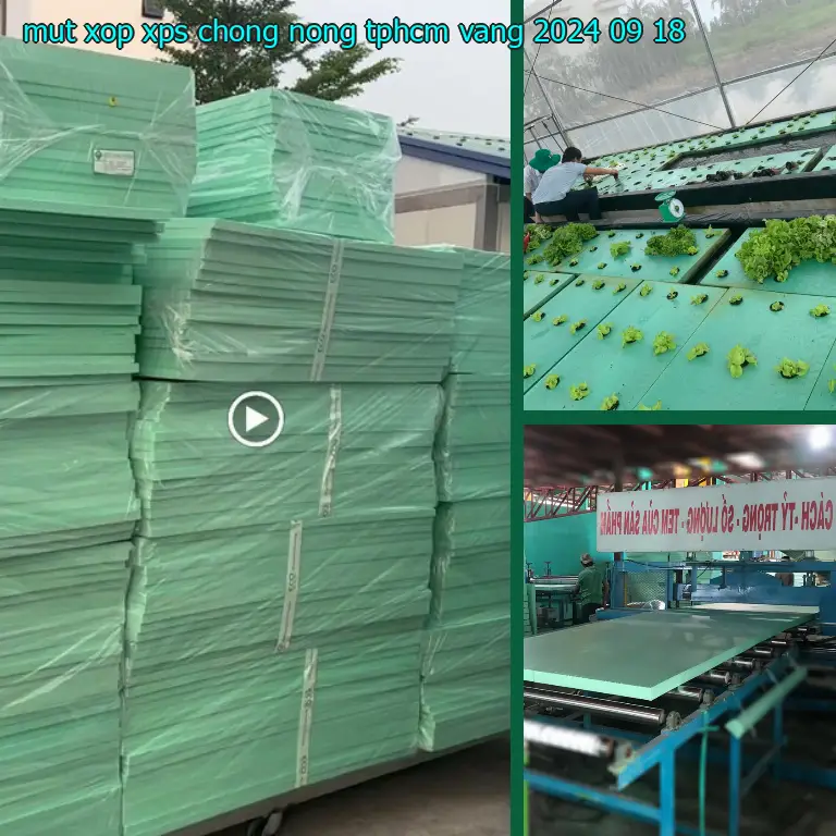 Ngày sản xuất mút xốp XPS chống nóng TpHCM Vàng: 2024-09-18