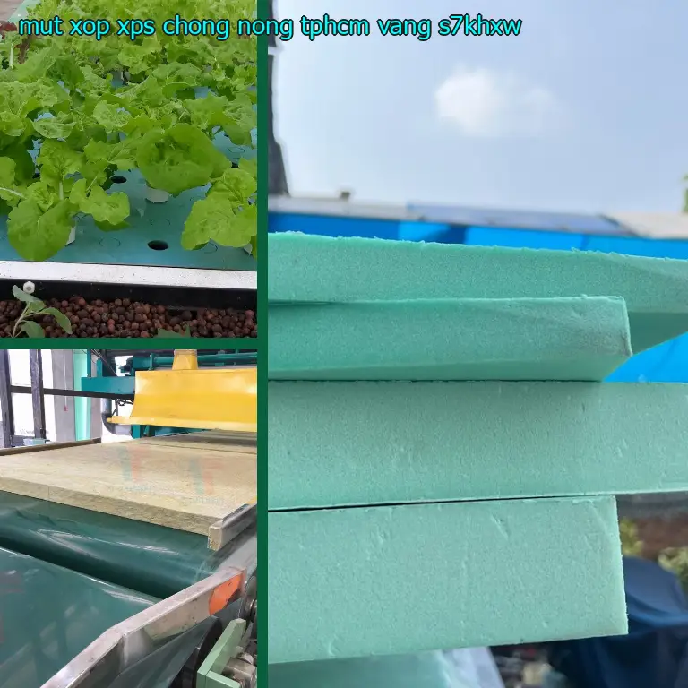 Model mút xốp XPS chống nóng TpHCM Vàng: S7KHXW