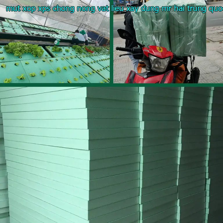 Xuất xứ mút xốp XPS chống nóng Vật Liệu Xây Dựng Mr.HẢI: Trung Quốc
