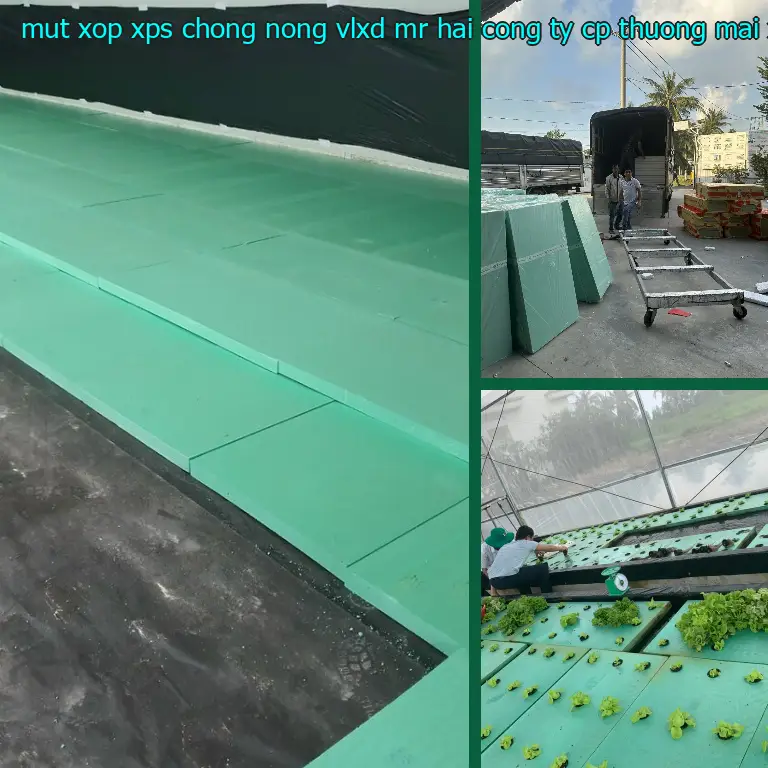 Nhà sản xuất mút xốp XPS chống nóng VLXD Mr.HẢI: Công ty CP thương mại XNK Tân Phú Bình Nhà sản xuất mút xốp XPS chống nóng VLXD Mr.HẢI: Công ty CP thương mại XNK Tân Phú Bình