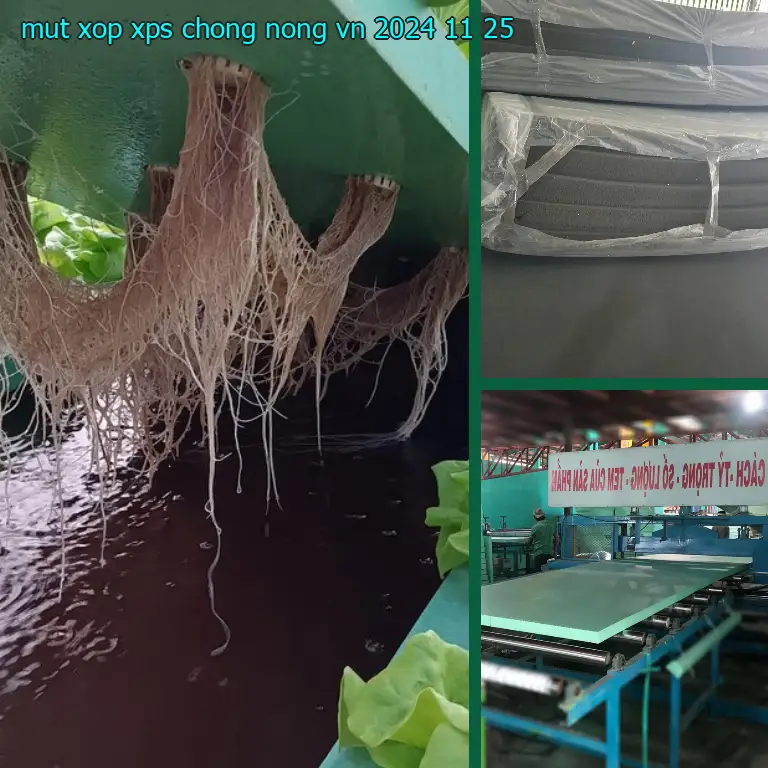 Ngày sản xuất mút xốp XPS chống nóng VN: 2024-11-25 Ngày sản xuất mút xốp XPS chống nóng VN: 2024-11-25