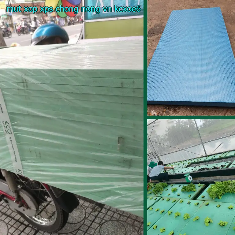 Model mút xốp XPS chống nóng VN: KCXOE6 Model mút xốp XPS chống nóng VN: KCXOE6