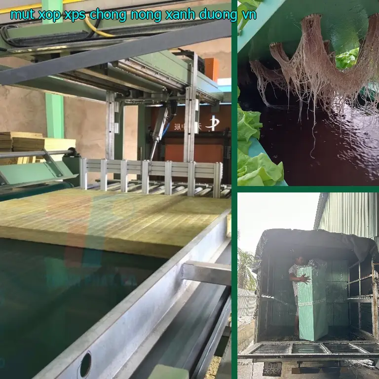 Xuất xứ mút xốp XPS chống nóng Xanh dương: VN Xuất xứ mút xốp XPS chống nóng Xanh dương: VN