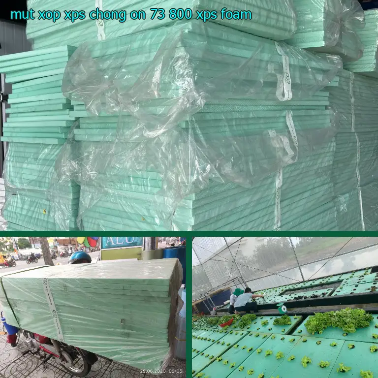 Danh mục mút xốp XPS chống ồn 73.800₫: XPS Foam Danh mục mút xốp XPS chống ồn 73.800₫: XPS Foam