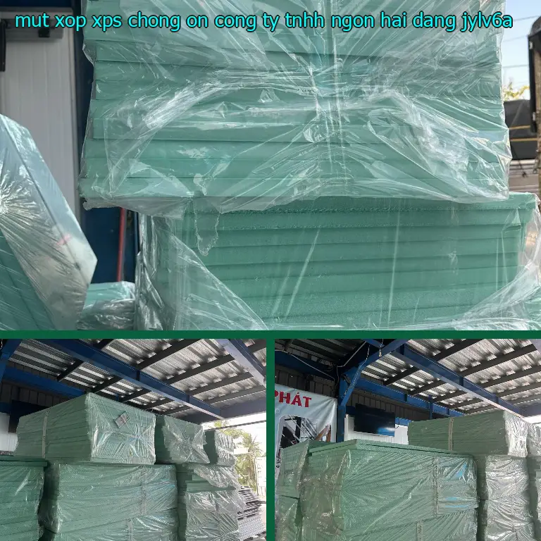 Model mút xốp XPS chống ồn Công ty TNHH Ngọn Hải Đăng: JYLV6A Model mút xốp XPS chống ồn Công ty TNHH Ngọn Hải Đăng: JYLV6A