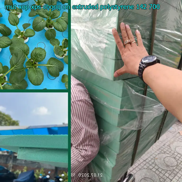 Đơn giá mút xốp XPS chống ồn Extruded Polystyrene: 142.700₫ Đơn giá mút xốp XPS chống ồn Extruded Polystyrene: 142.700₫