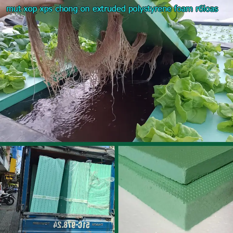 Model mút xốp XPS chống ồn Extruded Polystyrene Foam: R6LOAS Model mút xốp XPS chống ồn Extruded Polystyrene Foam: R6LOAS