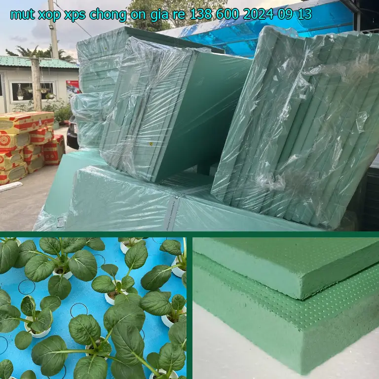 Ngày sản xuất mút xốp XPS chống ồn giá rẻ 138.600₫: 2024-09-13 Ngày sản xuất mút xốp XPS chống ồn giá rẻ 138.600₫: 2024-09-13