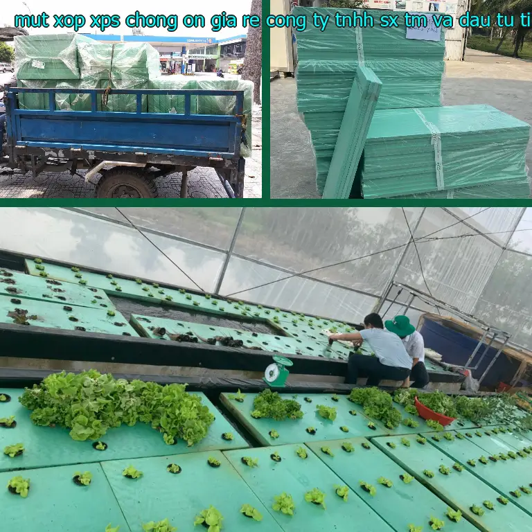 Nhà cung cấp mút xốp XPS chống ồn giá rẻ Công ty TNHH SX TM và đầu tư Tiến Phong: Cửa hàng tấm xốp Mr.HẢI Nhà cung cấp mút xốp XPS chống ồn giá rẻ Công ty TNHH SX TM và đầu tư Tiến Phong: Cửa hàng tấm xốp Mr.HẢI