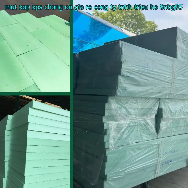 Model mút xốp XPS chống ồn giá rẻ Công ty TNHH Triệu Hổ: 8NBG95