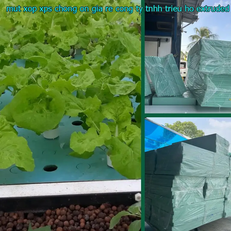 Chất liệu mút xốp XPS chống ồn giá rẻ Công ty TNHH Triệu Hổ: Extruded Polystyrene