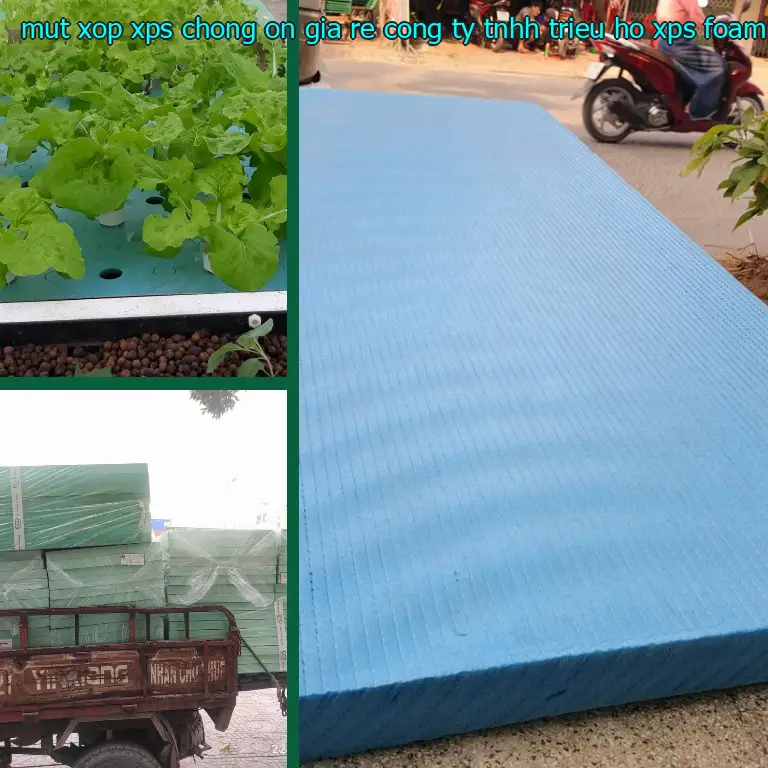 Danh mục mút xốp XPS chống ồn giá rẻ Công ty TNHH Triệu Hổ: XPS Foam Board
