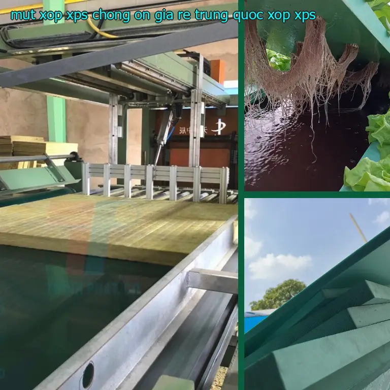 Danh mục mút xốp XPS chống ồn giá rẻ Trung Quốc: Xốp XPS Danh mục mút xốp XPS chống ồn giá rẻ Trung Quốc: Xốp XPS