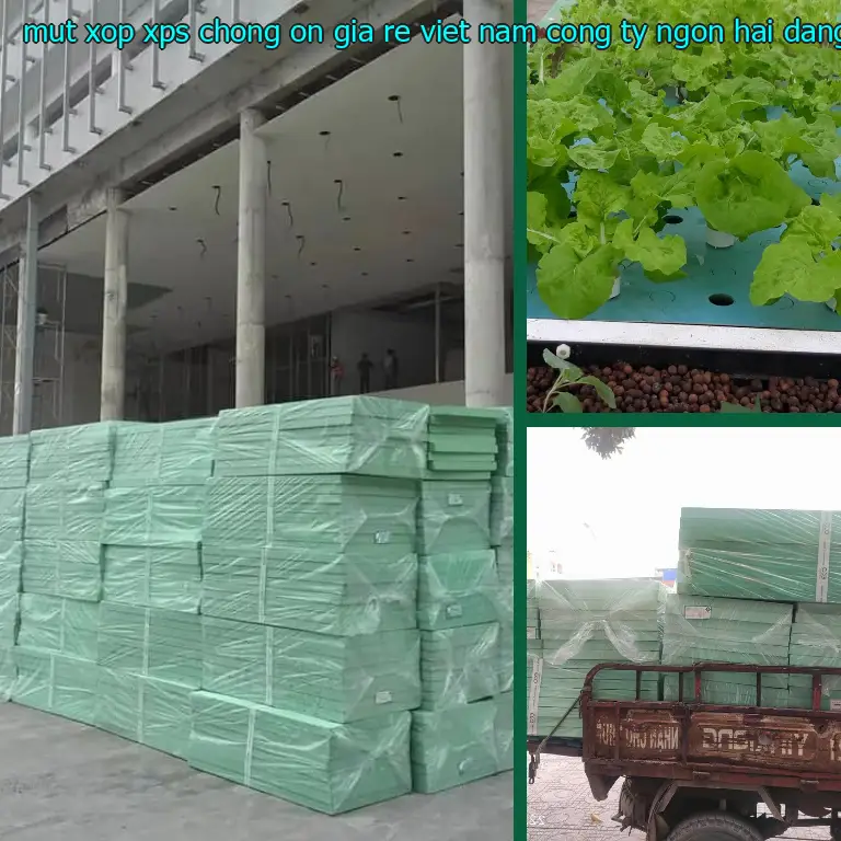 Nhà cung cấp mút xốp XPS chống ồn giá rẻ Viet Nam: Công ty Ngọn Hải Đăng