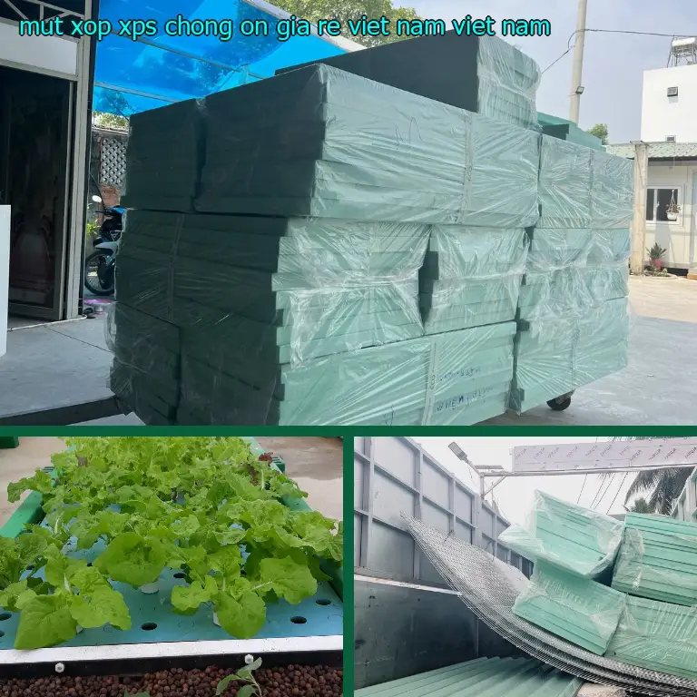Xuất xứ mút xốp XPS chống ồn giá rẻ Viet Nam: Viet Nam