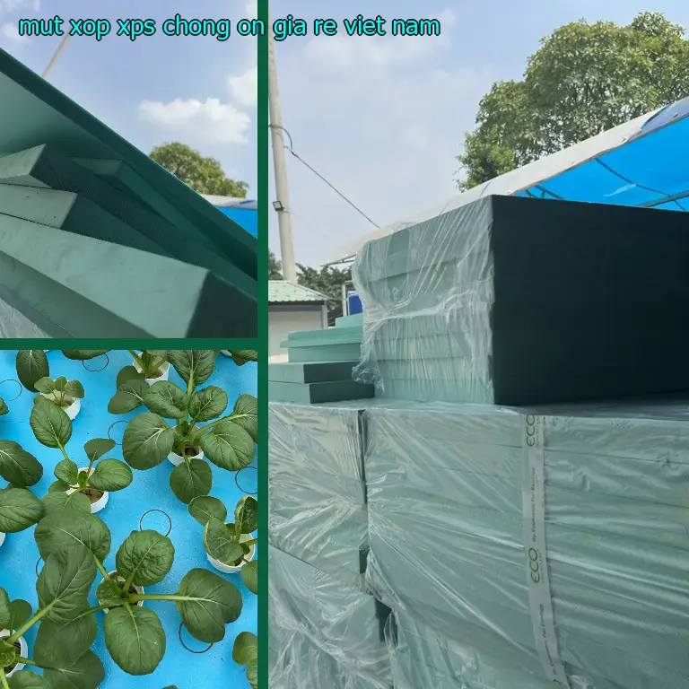 Mút xốp XPS chống ồn giá rẻ Viet Nam