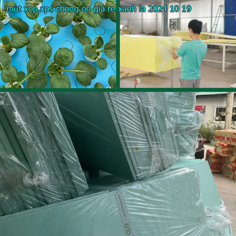 Ngày sản xuất mút xốp XPS chống ồn giá rẻ Xanh lá: 2024-10-19 Ngày sản xuất mút xốp XPS chống ồn giá rẻ Xanh lá: 2024-10-19