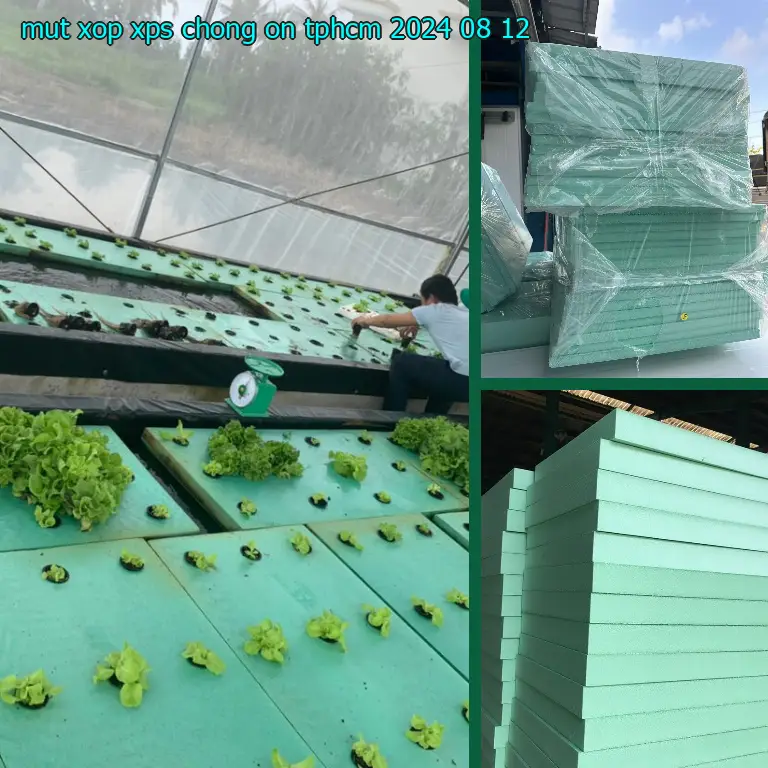 Mút xốp XPS chống ồn TpHCM 2024-08-12