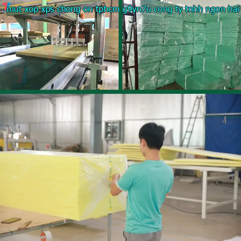 Nhà cung cấp mút xốp XPS chống ồn TpHCM G9YN7U: Công ty TNHH Ngọn Hải Đăng Nhà cung cấp mút xốp XPS chống ồn TpHCM G9YN7U: Công ty TNHH Ngọn Hải Đăng