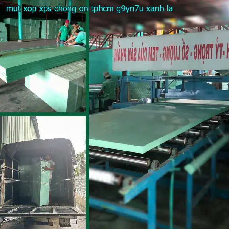 Màu sắc mút xốp XPS chống ồn TpHCM G9YN7U: Xanh lá Màu sắc mút xốp XPS chống ồn TpHCM G9YN7U: Xanh lá