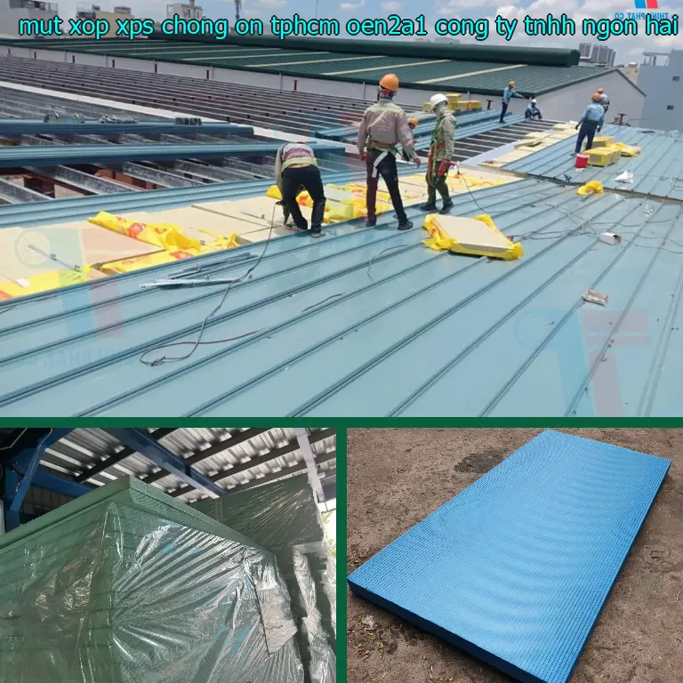 Nhà cung cấp mút xốp XPS chống ồn TpHCM OEN2A1: Công ty TNHH Ngọn Hải Đăng Nhà cung cấp mút xốp XPS chống ồn TpHCM OEN2A1: Công ty TNHH Ngọn Hải Đăng
