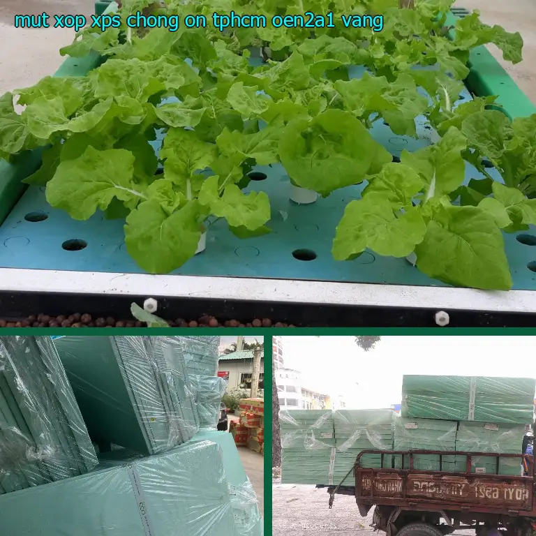 Màu sắc mút xốp XPS chống ồn TpHCM OEN2A1: Vàng Màu sắc mút xốp XPS chống ồn TpHCM OEN2A1: Vàng