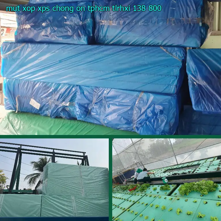 Giá mút xốp XPS chống ồn TpHCM TLRHXI: 138.800₫