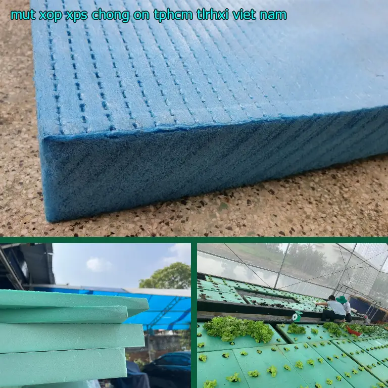 Xuất xứ mút xốp XPS chống ồn TpHCM TLRHXI: Viet Nam