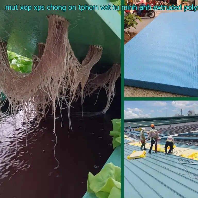 Chất liệu mút xốp XPS chống ồn TpHCM Vật tư Minh Anh: Extruded Polystyrene Chất liệu mút xốp XPS chống ồn TpHCM Vật tư Minh Anh: Extruded Polystyrene